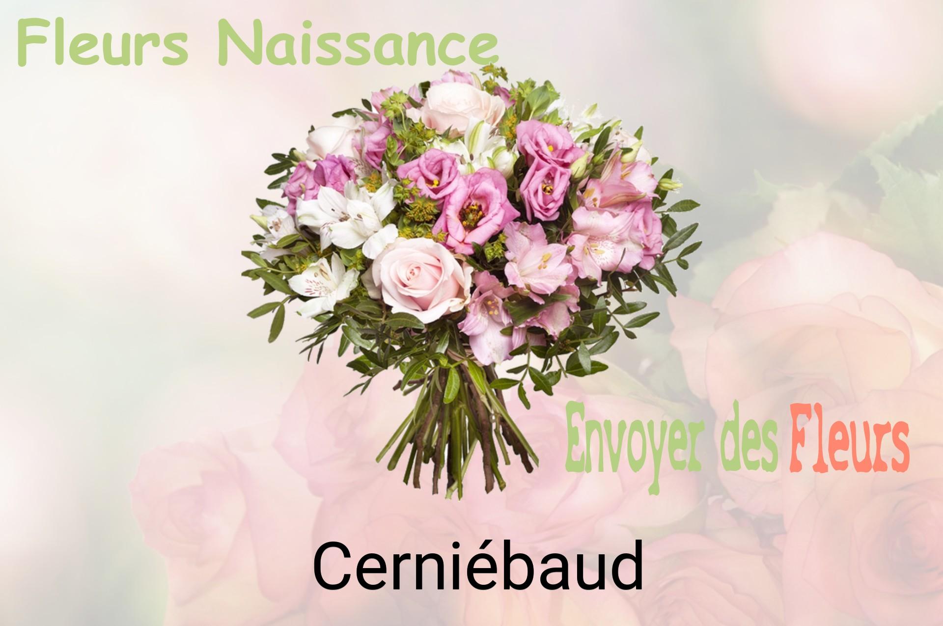 Bouquet de fleurs de naissance livré à Cerniébaud