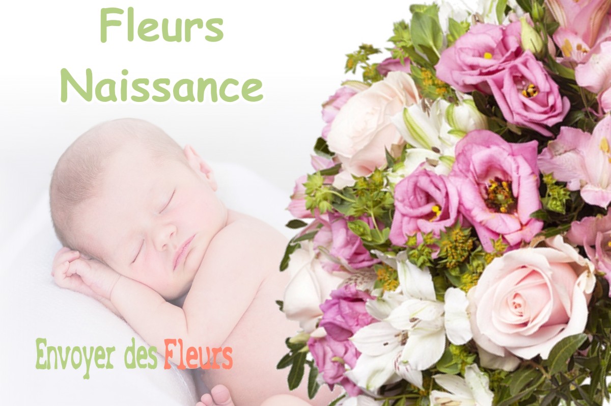 lIVRAISON FLEURS NAISSANCE à CERNIEBAUD